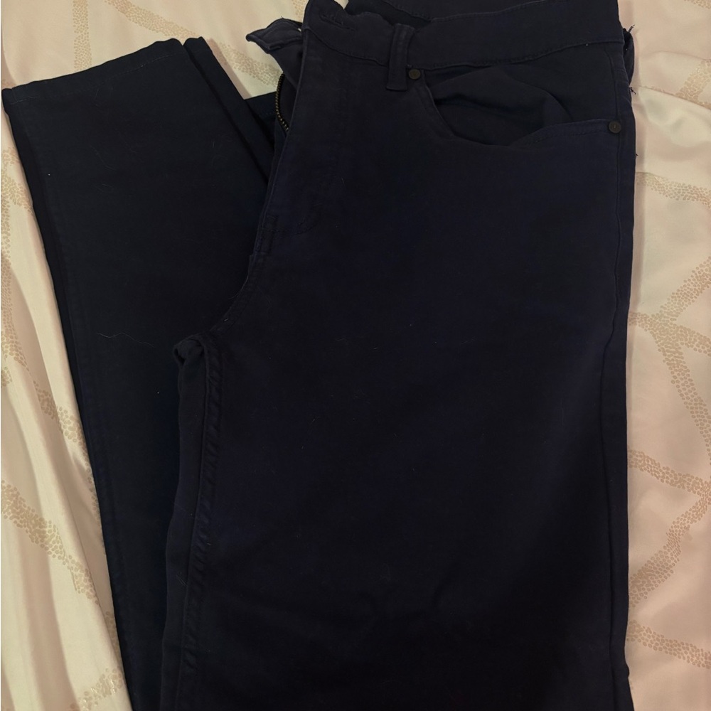 Banana Republic Navy Blue Trousers